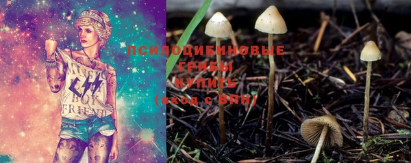 дмт Армянск