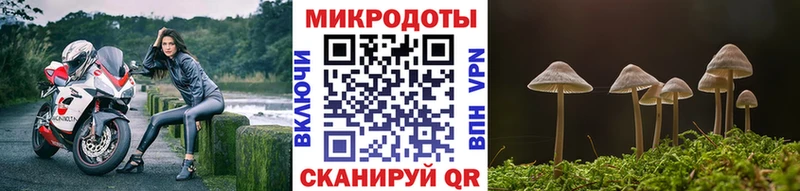 Галлюциногенные грибы мицелий Карачев